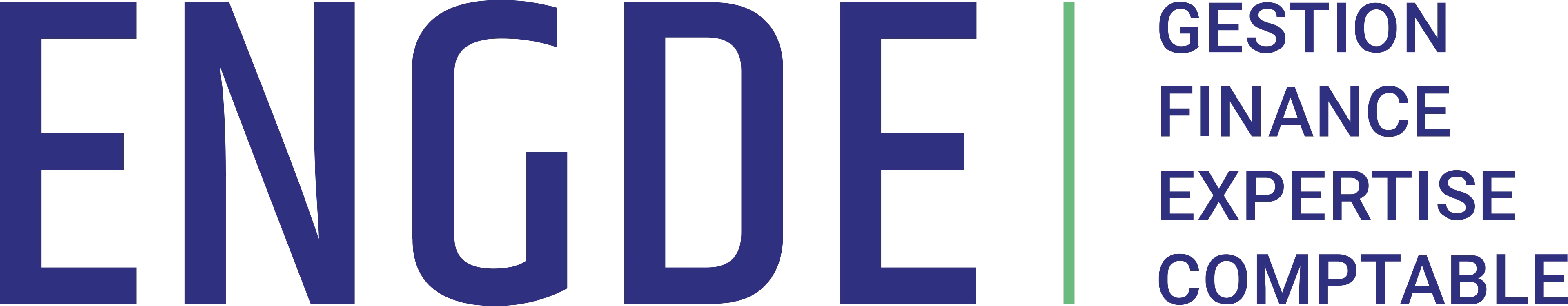 logo Lille ENGDE