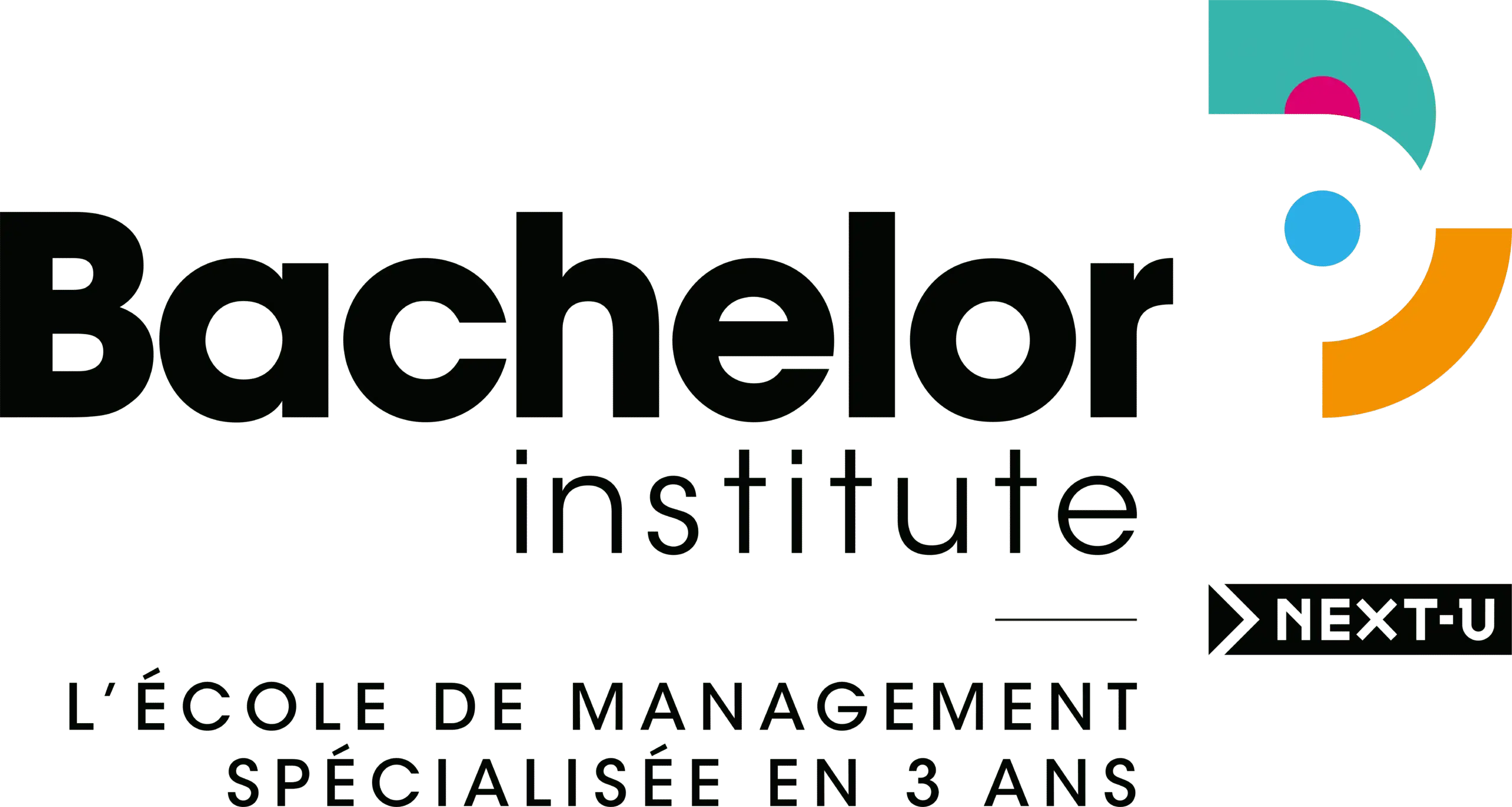 logo ecole Bachelor Institute